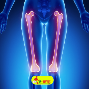 X - Ray Femur B/V